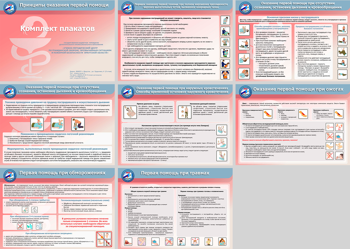 Комплект плакатов «Принципы оказания первой помощи » формат А3 6 листов